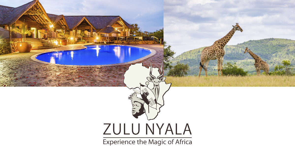 auctionannouncemnet Zulu Nyala